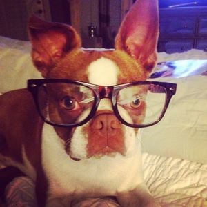 Meet your Posher, Robbie